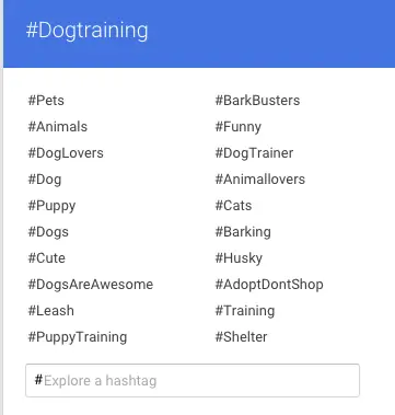 La guía definitiva para revelar todo sobre el marketing de hashtags para el perro...