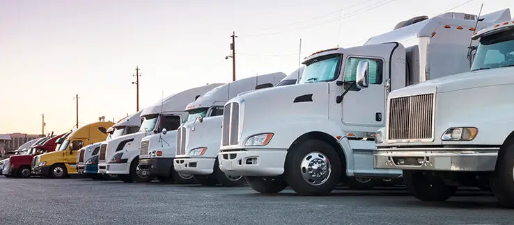 Los camioneros se apoderan de TikTok - F|Staff